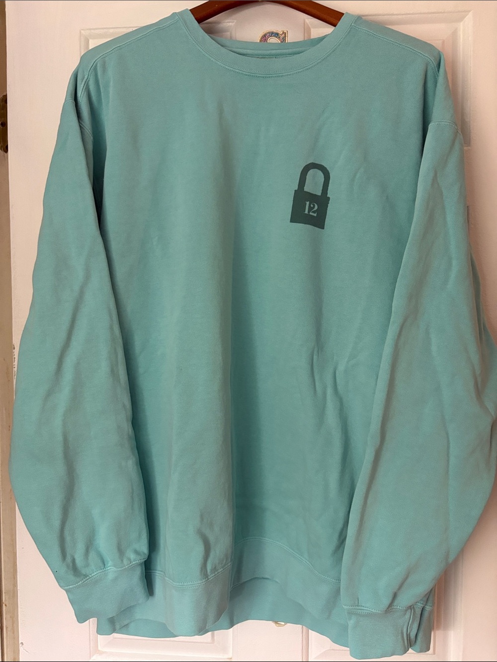 🧡TAYLOR SWIFT🩵themed sweatshirt, 2XL